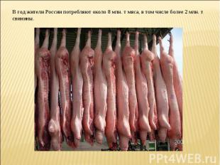 В год жители России потребляют около 8 млн. т мяса, в том числе более 2 млн. т с