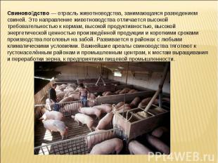 Свиново дство — отрасль животноводства, занимающаяся разведением свиней. Это нап
