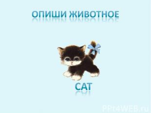 Опиши животное CAT