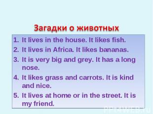 Загадки о животных It lives in the house. It likes fish. It lives in Africa. It