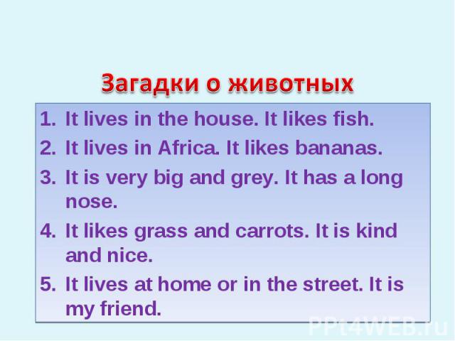 Загадки о животных It lives in the house. It likes fish. It lives in Africa. It likes bananas. It is very big and grey. It has a long nose. It likes grass and carrots. It is kind and nice. It lives at home or in the street. It is my friend.