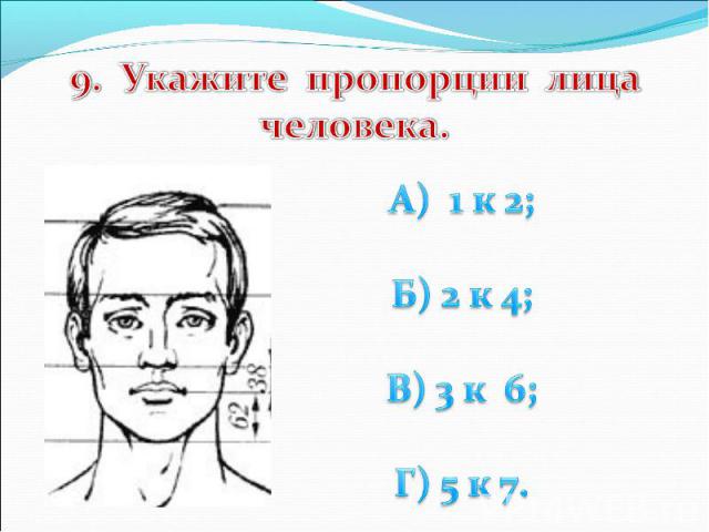 9. Укажите пропорции лица человека. А) 1 к 2; Б) 2 к 4; В) 3 к 6; Г) 5 к 7.