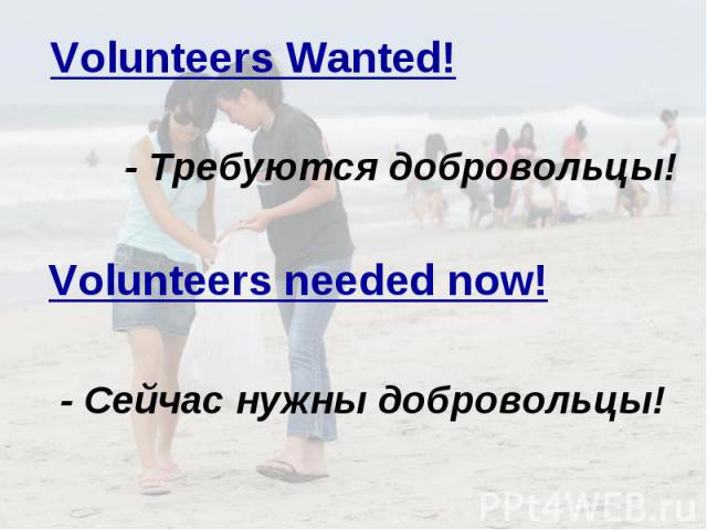 Volunteers Wanted! - Требуются добровольцы! Volunteers needed now! - Сейчас нужны добровольцы!