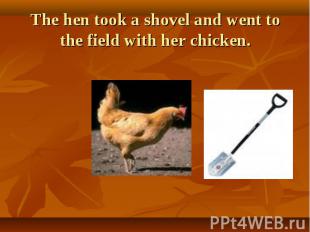 The hen took a shovel and went to the field with her chicken.