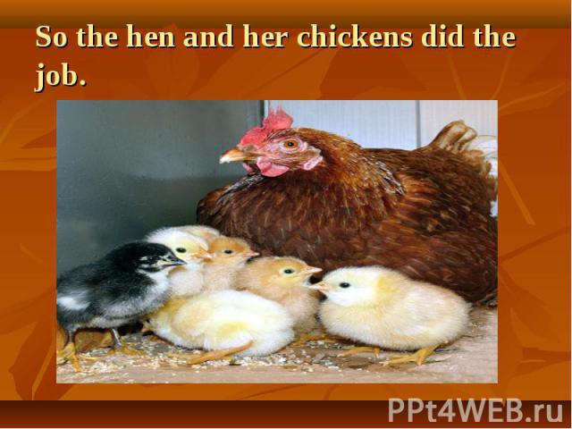 So the hen and her chickens did the job.