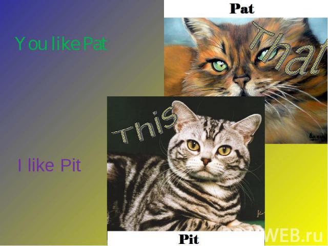 You like Pat I like Pit