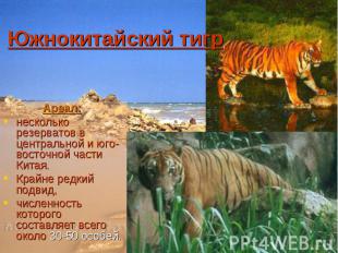 Южнокитайский тигр Ареал: несколько резерватов в центральной и юго-восточной час