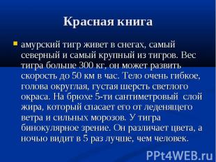 Красная книга амурский тигр живет в снегах, самый северный и самый крупный из ти