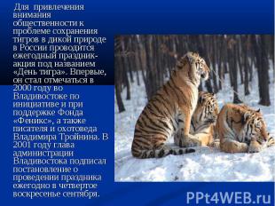 Для привлечения внимания общественности к проблеме сохранения тигров в дикой при