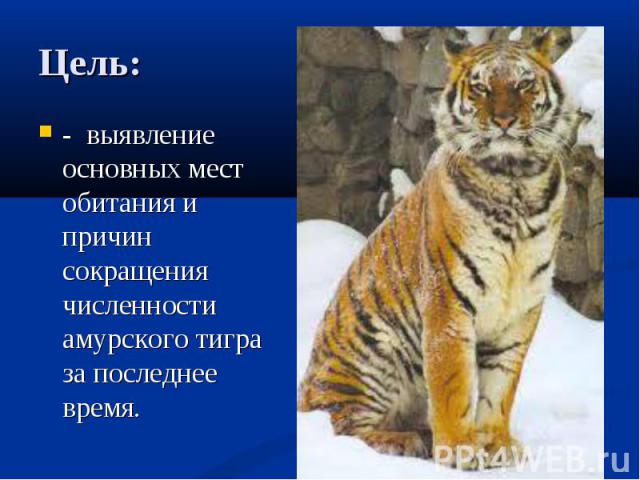 Цель: - выявление основных мест обитания и причин сокращения численности амурского тигра за последнее время.