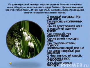 По древнерусской легенде, морская царевна Волхова полюбила юношу Садко, он же от