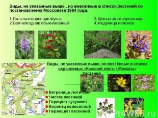 Виды, не указанные выше , но внесенные в список растений по постановлению Моссов