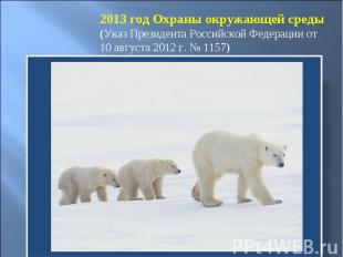 2013 год Охраны окружающей среды (Указ Президента Российской Федерации от 10 авг