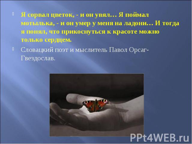 Я сорвал цветок, - и он увял… Я поймал мотылька, - и он умер у меня на ладони… И тогда я понял, что прикоснуться к красоте можно только сердцем. Словацкий поэт и мыслитель Павол Орсаг-Гвездослав.