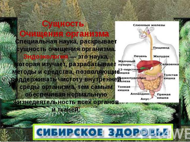 Специальная наука, раскрывает сущность очищения организма. Эндоэкология — это наука, которая изучает, разрабатывает методы и средства, позволяющие поддерживать чистоту внутренней среды организма, тем самым обеспечивая нормальную жизнедеятельность вс…