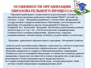 Образовательный процесс осуществляется на русском языке, Основная образовательна