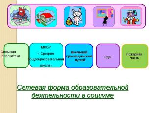 Сетевая форма образовательной деятельности в социуме