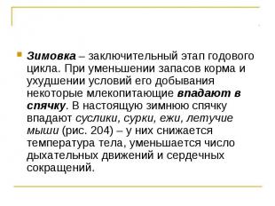 Зимовка – заключительный этап годового цикла. При уменьшении запасов корма и уху