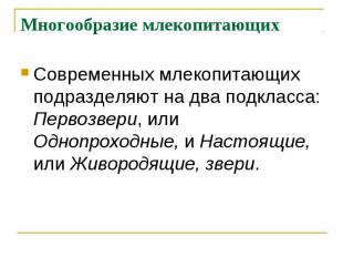 Многообразие млекопитающих Современных млекопитающих подразделяют на два подклас