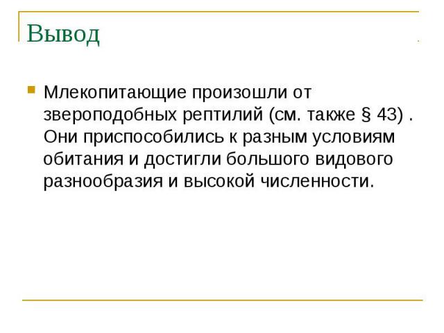 Вывод Млекопитающие произошли от звероподобных рептилий (см. также § 43) . Они приспособились к разным условиям обитания и достигли большого видового разнообразия и высокой численности.