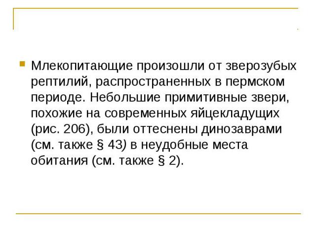 Млекопитающие произошли от зверозубых рептилий, распространенных в пермском периоде. Небольшие примитивные звери, похожие на современных яйцекладущих (рис. 206), были оттеснены динозаврами (см. также § 43) в неудобные места обитания (см. также § 2).