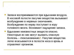 Запахи воспринимаются при вдыхании воздуха. В носовой полости пахучие вещества в