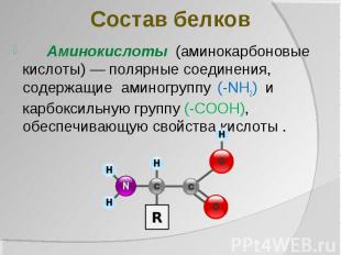 Состав белков Аминокислоты (аминокарбоновые кислоты) — полярные соединения, соде