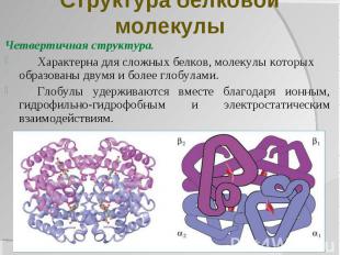 Структура белковой молекулы Четвертичная структура. Характерна для сложных белко
