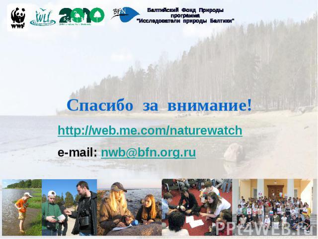 Спасибо за внимание! http://web.me.com/naturewatch e-mail: nwb@bfn.org.ru