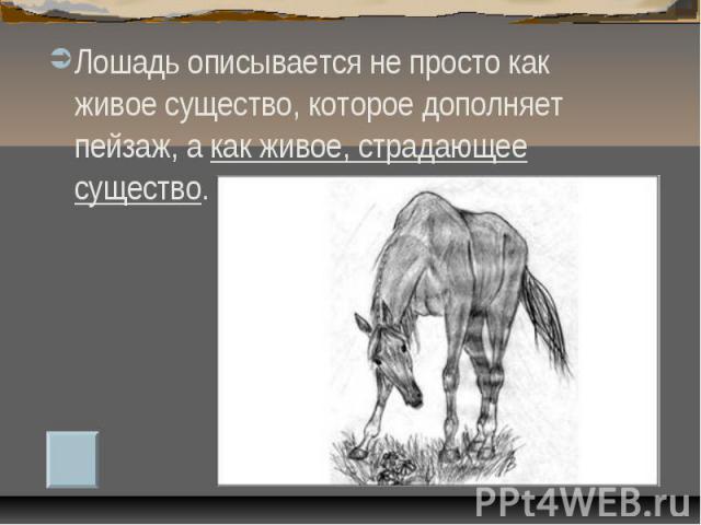 Лошадь описывается не просто как живое существо, которое дополняет пейзаж, а как живое, страдающее существо.