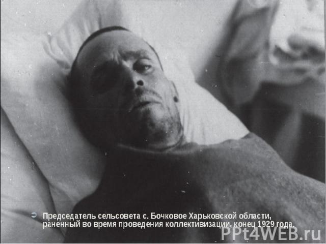 Председатель сельсовета с. Бочковое Харьковской области, раненный во время проведения коллективизации, конец 1929 года.