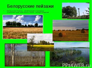 Белорусские пейзажи Белорусское Полесье - неповторимый в природных отношениях кр