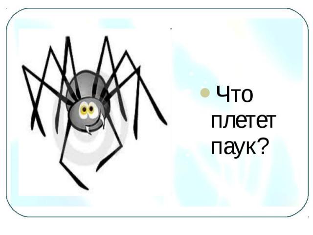 Что плетет паук?