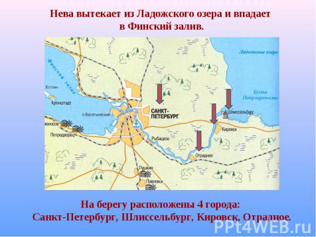 Нева вытекает из Ладожского озера и впадает в Финский залив. На берегу расположены 4 города: Санкт-Петербург, Шлиссельбург, Кировск, Отрадное.