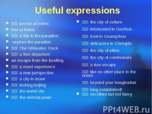 Useful expressions 宾至如归 just be at home; feel at home 天堂之旅 a trip to the