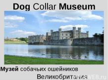 Dog Collar Museum
