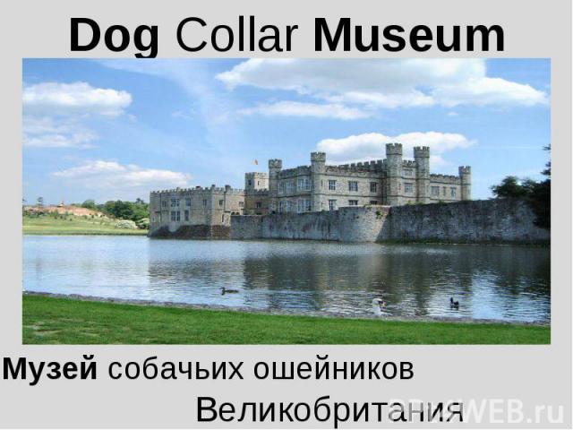 Dog Collar Museum Музей собачьих ошейников Великобритания