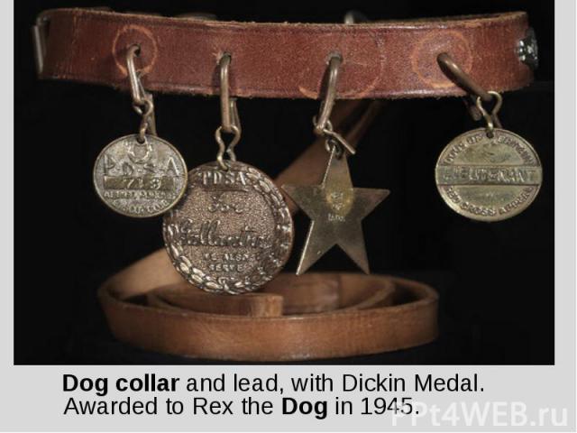 Dog collar and lead, with Dickin Medal. Awarded to Rex the Dog in 1945.