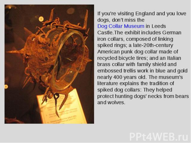 If you're visiting England and you love dogs, don't miss the Dog Collar Museum in Leeds Castle.The exhibit includes German iron collars, composed of linking spiked rings; a late-20th-century American punk dog collar made of recycled bicycle tires; a…