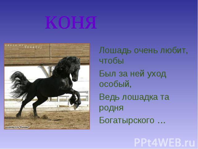 коня Лошадь очень любит, чтобы Был за ней уход особый, Ведь лошадка та родня Богатырского …