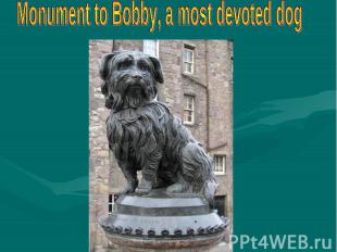 Monument to Bobby, a most devoted dog