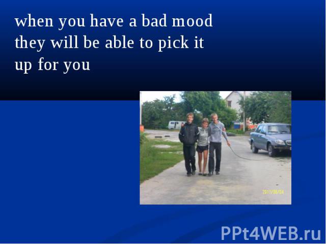 when you have a bad mood they will be able to pick it up for you