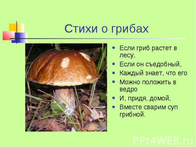 Стихи о грибах Если гриб растет в лесу, Если он съедобный, Каждый знает, что его Можно положить в ведро И, придя, домой, Вместе сварим суп грибной.