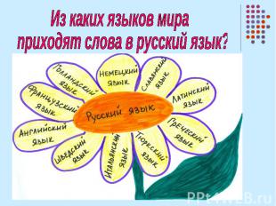 Из каких языков мира приходят слова в русский язык?