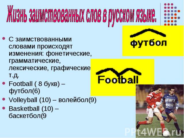 Жизнь заимствованных слов в русском языке. С заимствованными словами происходят изменения: фонетические, грамматические, лексические, графические и т.д. Football ( 8 букв) – футбол(6) Volleyball (10) – волейбол(9) Basketball (10) – баскетбол(9