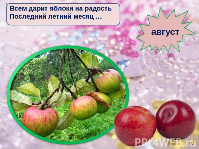 Всем дарит яблоки на радость Последний летний месяц … август