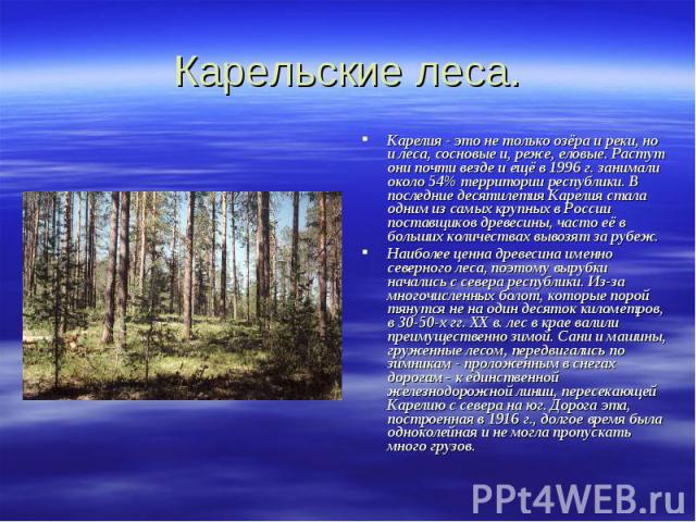 Карельские леса. Карелия - это не только озёра и реки, но и леса, сосновые и, реже, еловые. Растут они почти везде и ещё в 1996 г. занимали около 54% территории республики. В последние десятилетия Карелия стала одним из самых крупных в России постав…