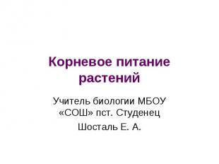 Корневое питание растений Учитель биологии МБОУ «СОШ» пст. Студенец Шосталь Е. А