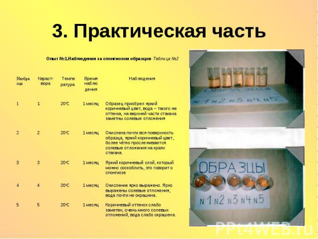 3. Практическая часть Опыт №1.Наблюдения за спонгиозом образцов Таблица №2