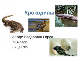 Крокодилы Автор: Владислав Биров 7-Вкласс Лицей№5